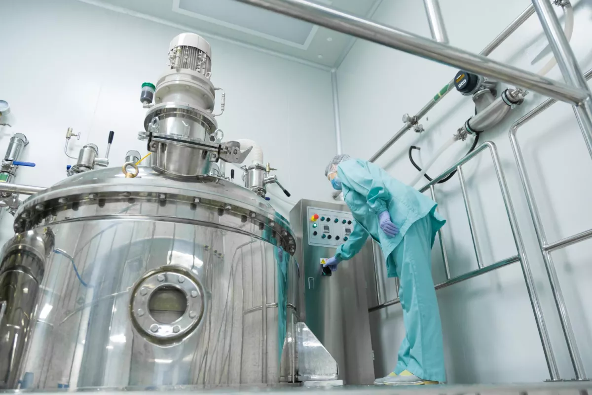 Worker monitors cannabis bioreactor for precise extraction in sterile industrial setting.