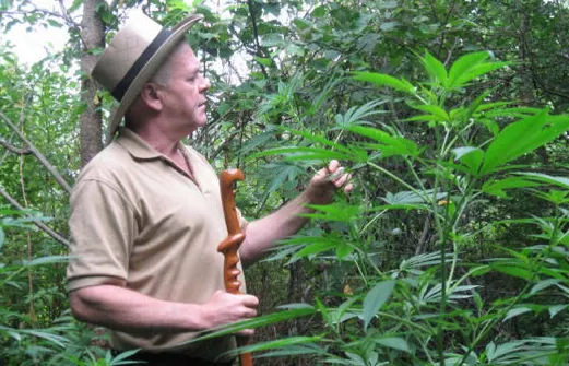 Man in khaki exploring lush tropical forest with walking stick.