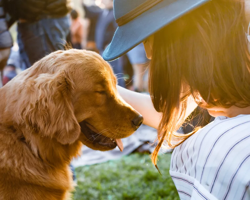 Woman bonding with Golden Retriever in sunset-lit park.