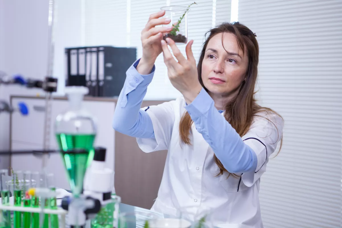 Female scientist in lab coat examines plant in petri dish for genetic or pathology research.