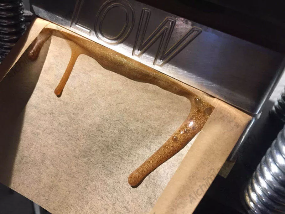 Rosin Press Solventless