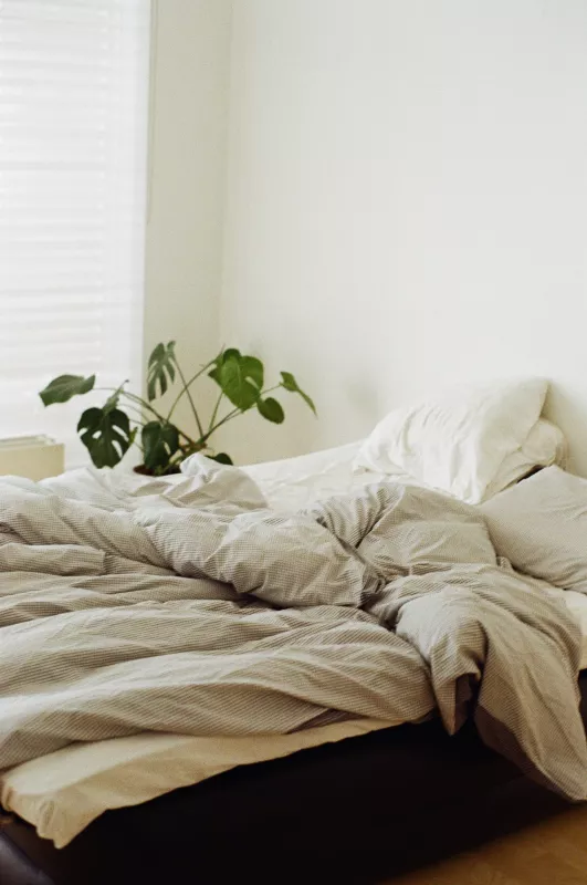 Peaceful bedroom with unmade striped bed and green plant in natural light for relaxation.