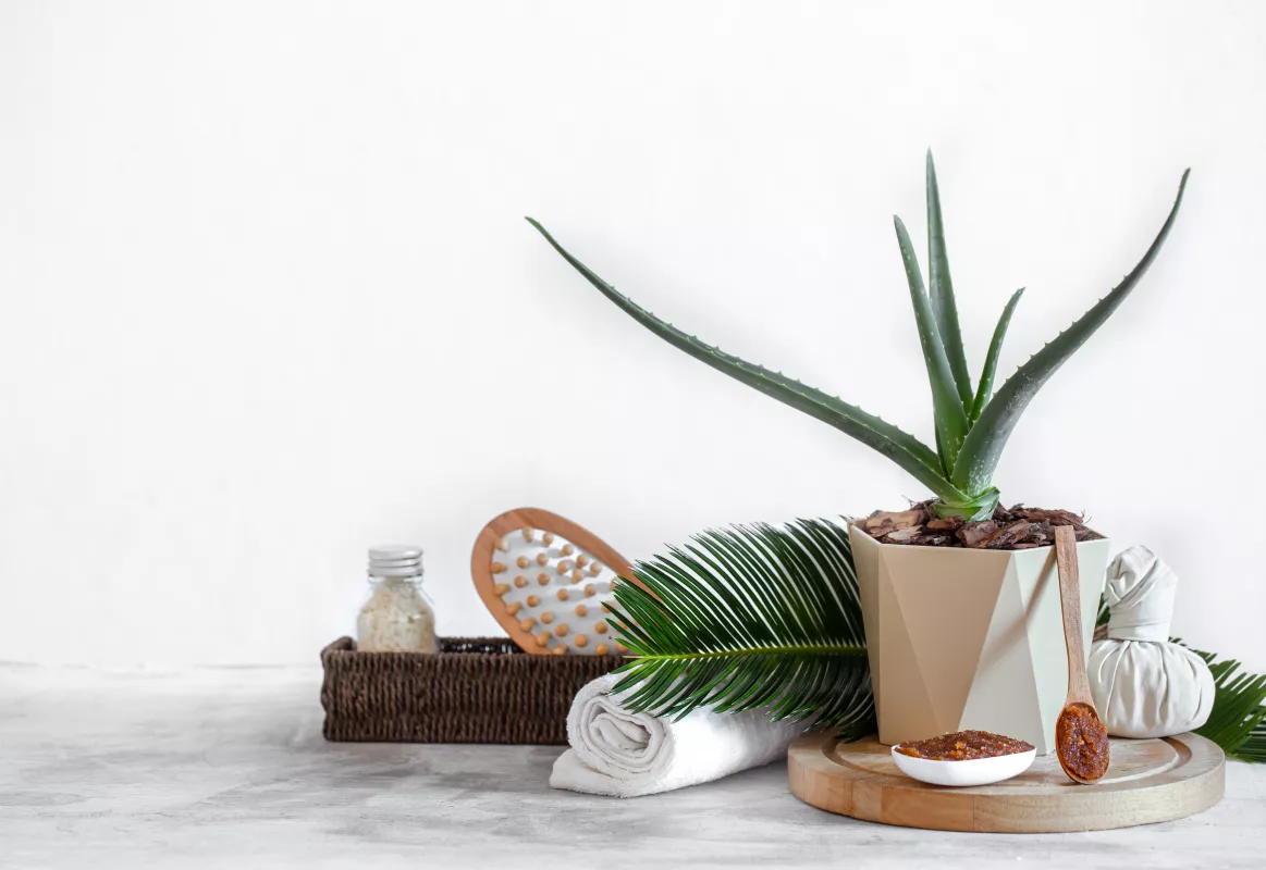 Spa wellness essentials with Aloe Vera, towel, leaf, and relaxation products on wooden tray.