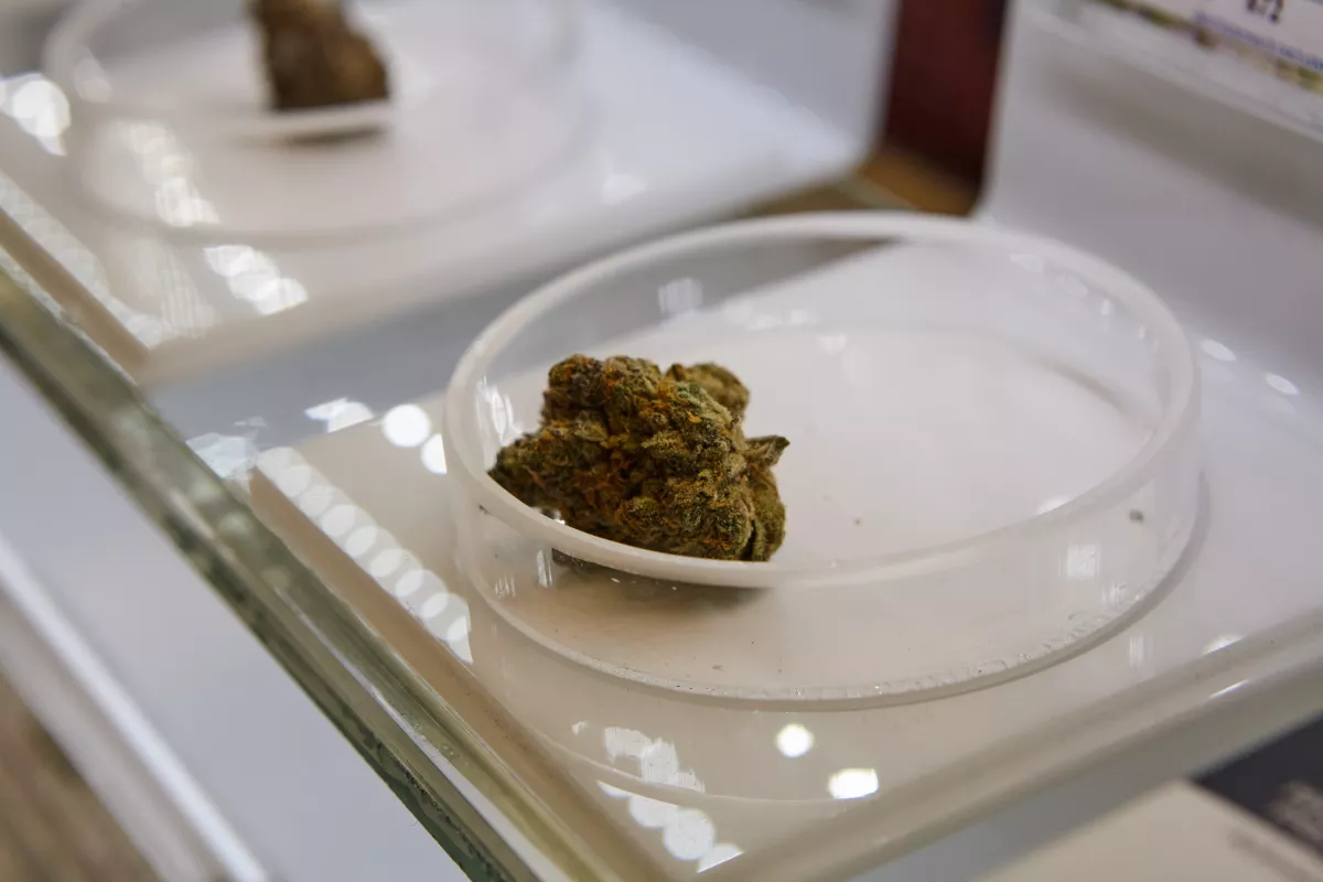 Top Shelf Quality Flower