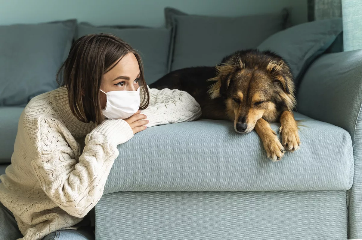 Woman in mask finds solace with sleeping dog on sofa during lockdown.