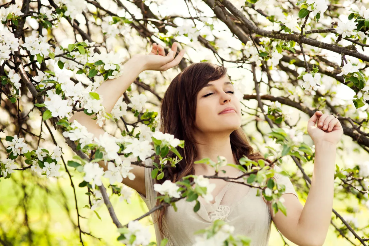 Woman relishing spring amidst white blossoms in tranquil grove.
