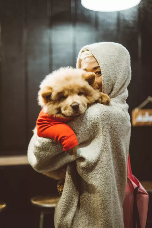 Person cradling a brown puppy in a cozy, affectionate embrace, reflecting warmth and companionship.