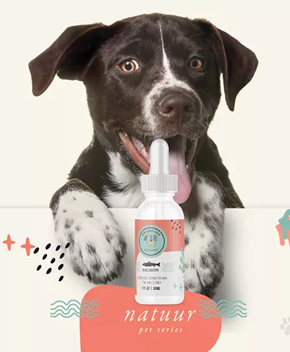 Black and white dog with Salmon Oil Tincture product for pets.