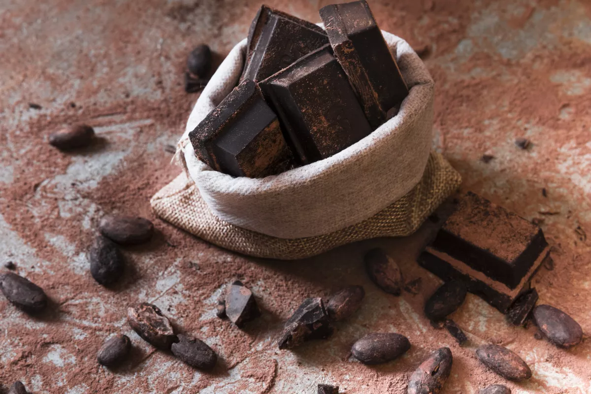 Artisanal dark chocolate chunks and cocoa beans on a rustic stone surface.