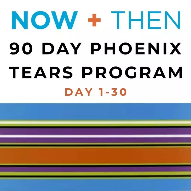 Join the NOW + THEN 90 Day Phoenix Tears Program for transformation and rebirth.