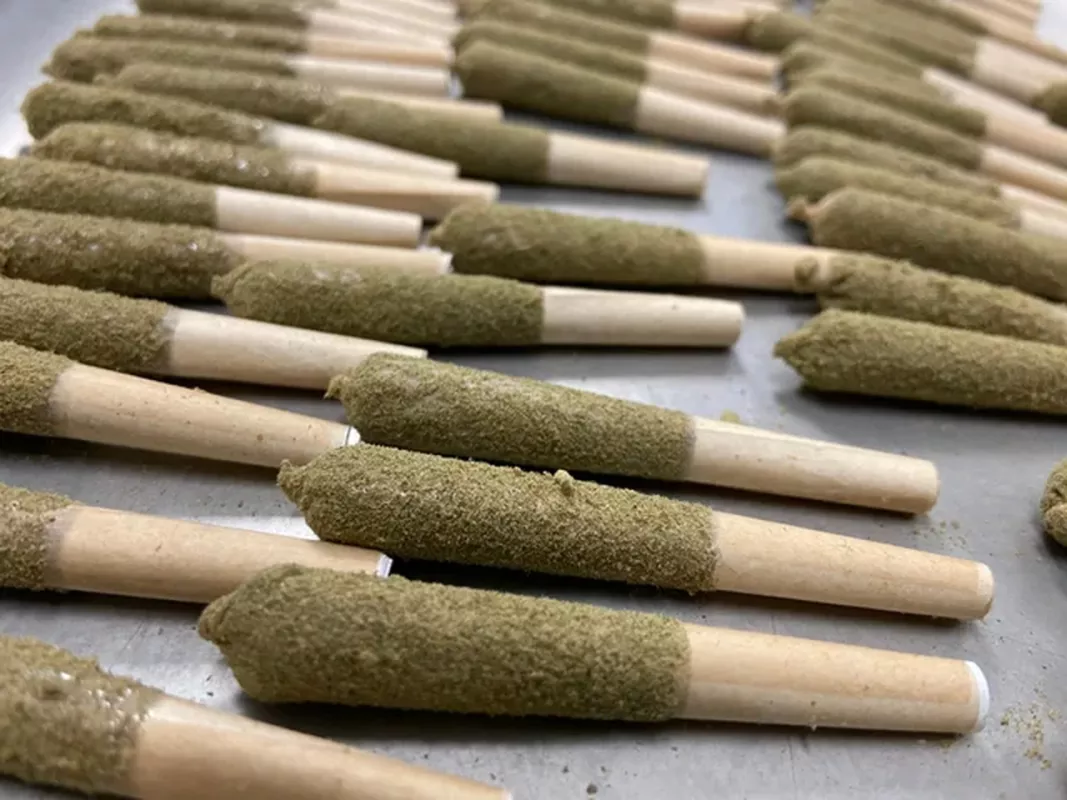 Premium cannabis joints with visible trichomes, arranged on a tray for legal sale.