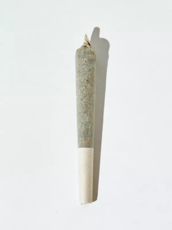 Machine-rolled joint with green-brown herb and white filter on white background.