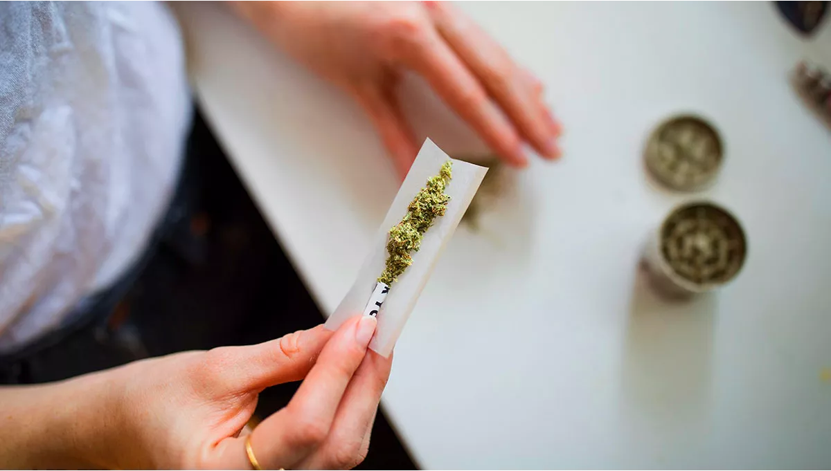 Person rolling cannabis joint with grinder in background.