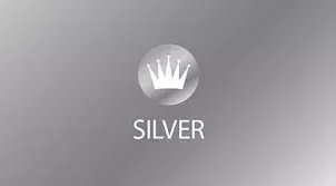 Silver minimalist crown emblem with gradient background for luxury branding.