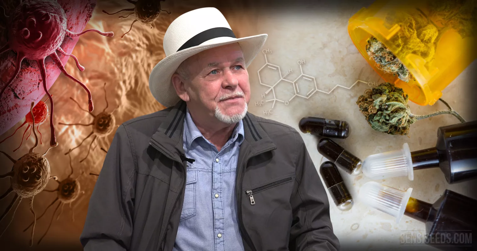 Scientist explores cannabis research for cancer treatment - Sensi Seeds guide.