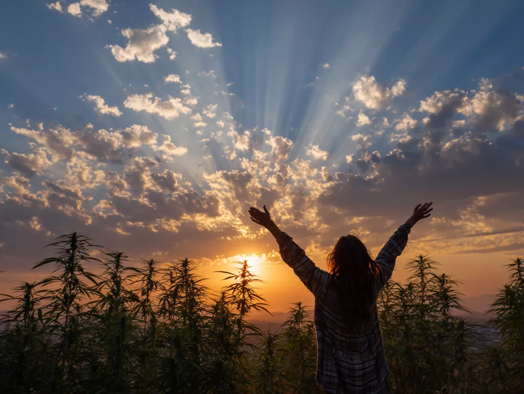 Person silhouetted against stunning sunset in field, arms raised, surrounded by tall plants.