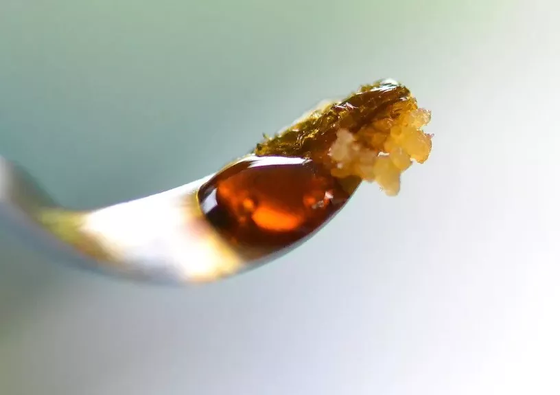 Terp Sauce Rich Terpene