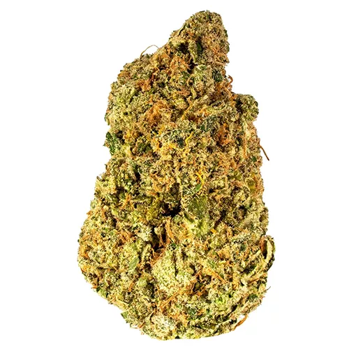 Close-up of a frosty, colorful, well-trimmed cannabis bud with trichomes, pistils, and hues of green, orange, and purple.