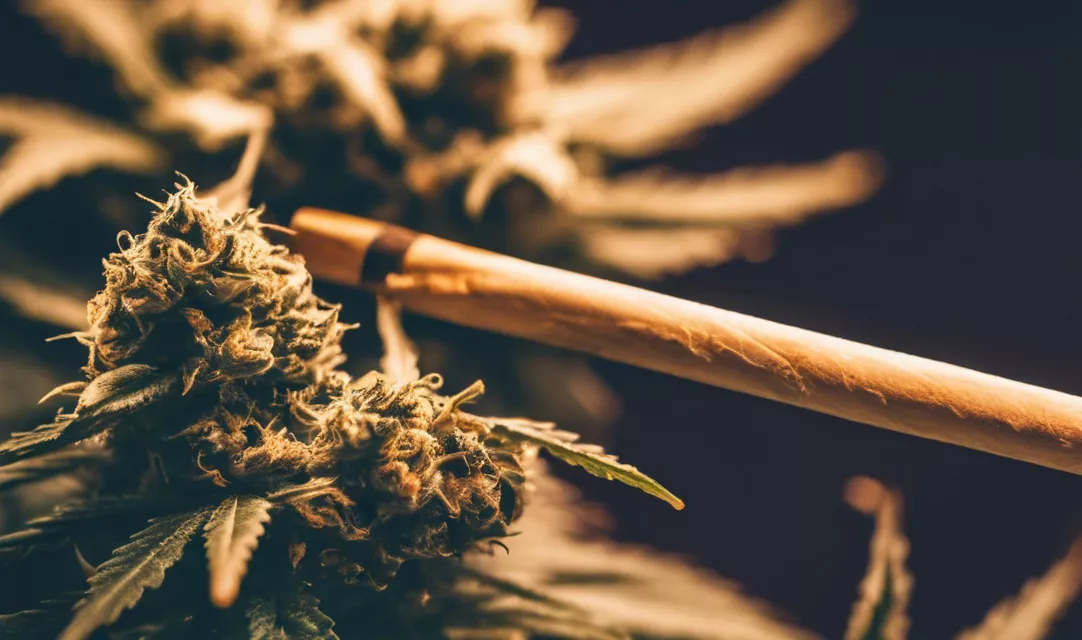 Close-up of green cannabis buds and a hand-rolled joint on a dark background.