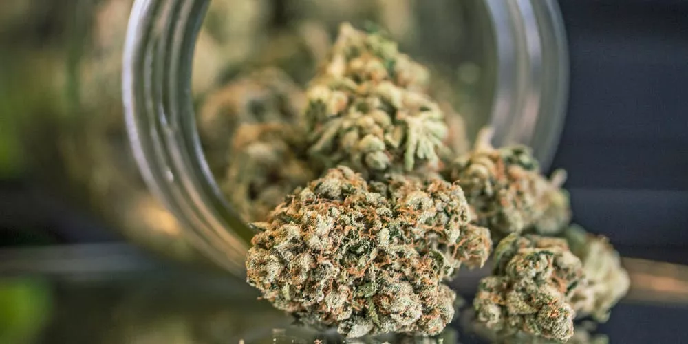 High-quality cannabis buds with visible trichomes spill from jar onto dark surface.