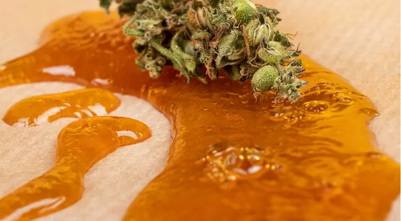 High-quality cannabis oil and flower, showcasing potency and natural trichomes.