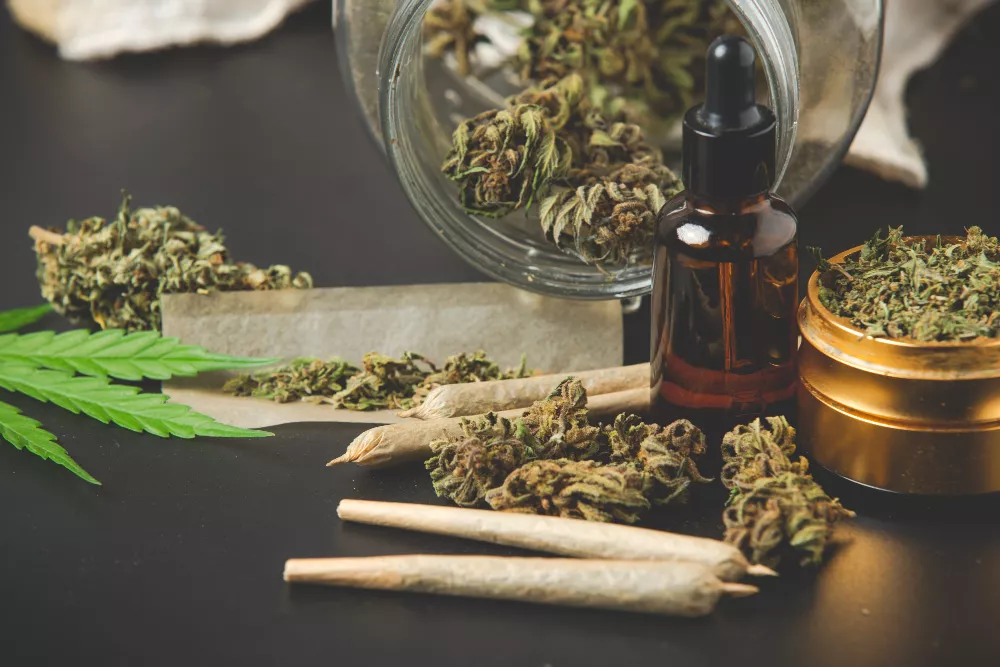 Cannabis leaf, joints, buds, oil, and grinder on dark surface.