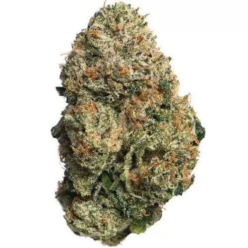 Dense cannabis bud covered in frosty trichomes with green, orange, and hints of purple hues.