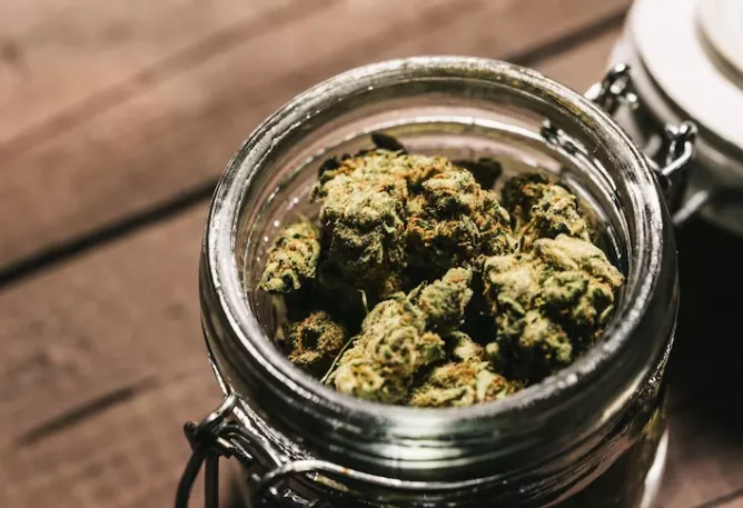 OG Kush buds in a sealed jar on a wooden backdrop.