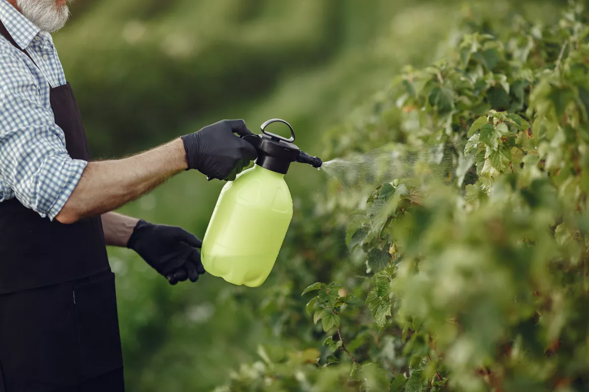 Pesticide For Agricultural Pests