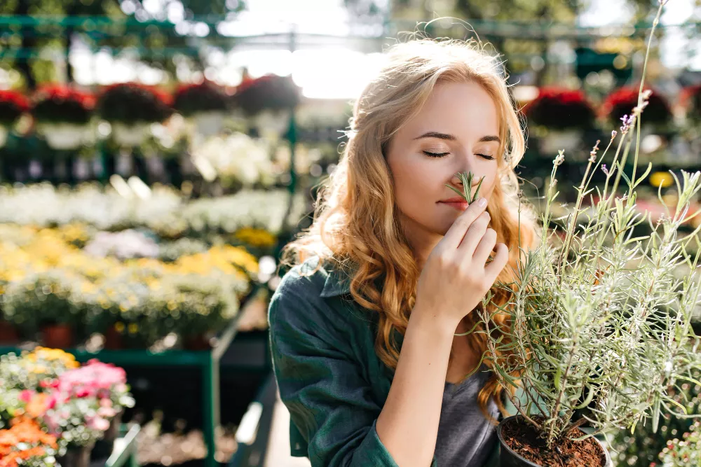 Woman enjoying the aroma of a fresh herb in a sunny, flower-filled garden.