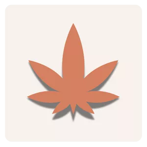 cannabis prerolls on white background