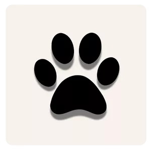 dog with cbd suppliment on white background.